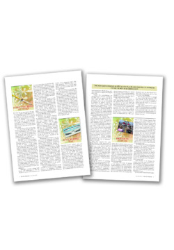 TNP Reproductive health inside pages