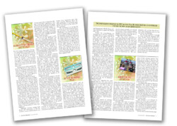 TNP Reproductive health inside pages